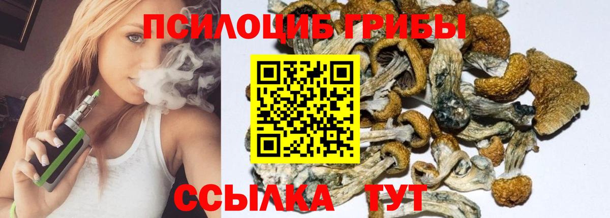 Псилоцибиновые грибы Psilocybe  наркотики  Соль-Илецк  Вход с VPN 